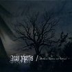 /AEON NOCTIS / Between Thorns and Silence