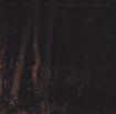/MOLOCH/DAEVA DURZEIRICHE/SATURN FORM ESSENCE/MAGATSU JUSO /Void (4way split) 