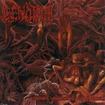 /CENOTAPH / Pseudo Verminal Cadaverium 