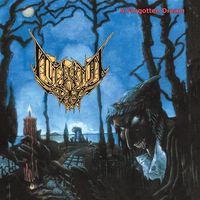 INTERNAL DECAY / A Forgotten Dream (2025 reissue) ���ɍĔ��I[]