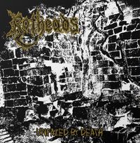 ROTHEADS / Unfazed by Death[]