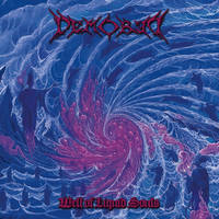 DEMORED / Well of Liquid Souls[]