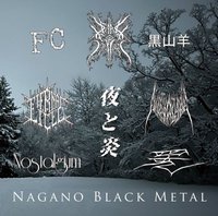 V/A - Nagano Black Metal (2CD)  ����u���b�N���^���R���s���[�V�����A���o���I[]