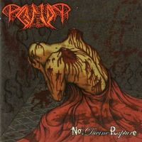 PAGANIZER / No Divine Rapture (2004)[]