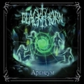BLACKTHORN / Araneum []
