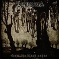 NEBRUS / From the black ashes []