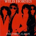 WILD HORSES / The First Album  []