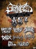 V.A / Brutality Reigns Fest First Annual 2011 []