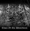 FROZENWOODS / Echoes Of The Winterforest []