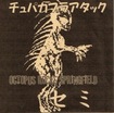 JAPANESE BAND/OCTOPUS ROCKS SPRINGFIELD / Demo (CDR)
