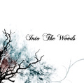 INTO THE WOODS / Into The Woods () []