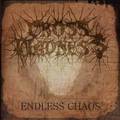 CROSS MADNESS / Endless Chaos []