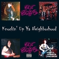 D.T.BOYZ / Knockin' Up Ya Neighborhood (CDR) []