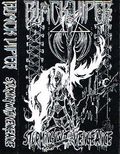 BLACK VIPER / Storming with Vengeance (TAPE) []