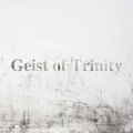 GEIST OF TRINITY / Geist of Trinity (TFXebJ[j []
