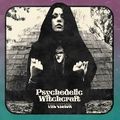 PSYCHEDELIC WITCHCRAFT / The Vision (digi) []