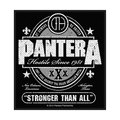PANTERA / Stronger than All (SP) []