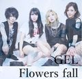 GEL / Flowers Fall []