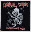 CANNIBAL CORPSE / Butchered at Birth (SP) []