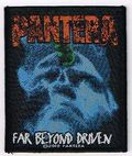 PANTERA / Far Beyond Driven (SP) []