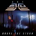 SHY / Brave the Storm +6 (2019 reissue) []