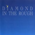 DIAMOND IN THE ROUGH / Diamond In The Rough +2 []