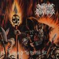 NUCLEAR REVENGE / Dawn of the Primitive Age (NEW !!) []