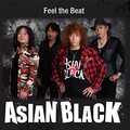 ASIAN BLACK / Feel the Beat (NEWISNIPER̃o[j[Ə\PMAXII) []