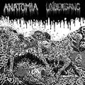 ANATOMIA / UNDERGANG / split  []