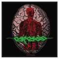 CARCASS / brain and green logo (SP) []