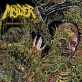 MOLDER / Engrossed in Decay (NEW!) []