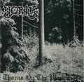NORTH / Thorns On The Black Rose (2021 reissue) []