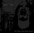 BEYOND THE GRAVE / Let There Be Destruction []