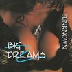 GLAM/THE UNKNOWN / Big Dreams (2023 reissue) USメロハー/Hair Metal激レア盤！