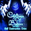 コレクターズ商品/CHILDREN OF BODOM - SELF DESTRUCTION DRIVE(2CDR)