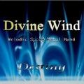 DIVINE WIND / Destiny (CD-R) ̔I []
