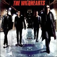 THE WiLDHEARTS / Endless, Nameless (2CD)[]