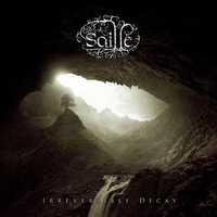  SAILLE /  Irreversible Decay (中古）[]