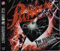 PUNISH / The Pain Of Electricity (1st！祈願の再プレスで入荷！！)[]