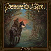 POSSESSED STEEL / Aedris []