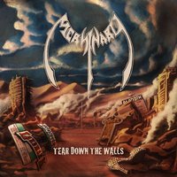 MERSINARY / Tear Down The Walls (2CD) Iron Worksバンド、初CD化！[]