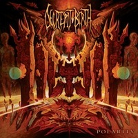 DECREPIT BIRTH / Polarity idigi)