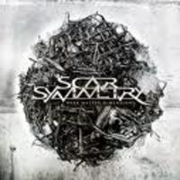 SCAR SYMMETRY / Dark Matter Dimensions  