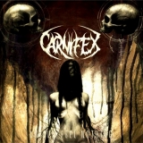 CARNIFEX / Until I feel Nothing (slip)