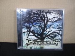 IMMORTAL SOULS / Ice Upon the Night (Áj