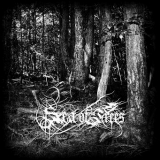 SEA OF TREES / Aokigahara