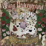 PERPETUAL DREAMER / Going Underground