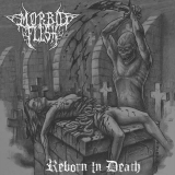 MORBID FLESH / Reborn in Death