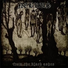 NEBRUS / From the black ashes