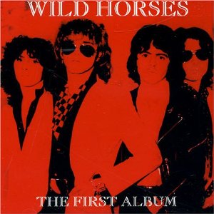 WILD HORSES / The First Album 
